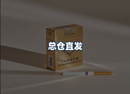 专业团队办公环境